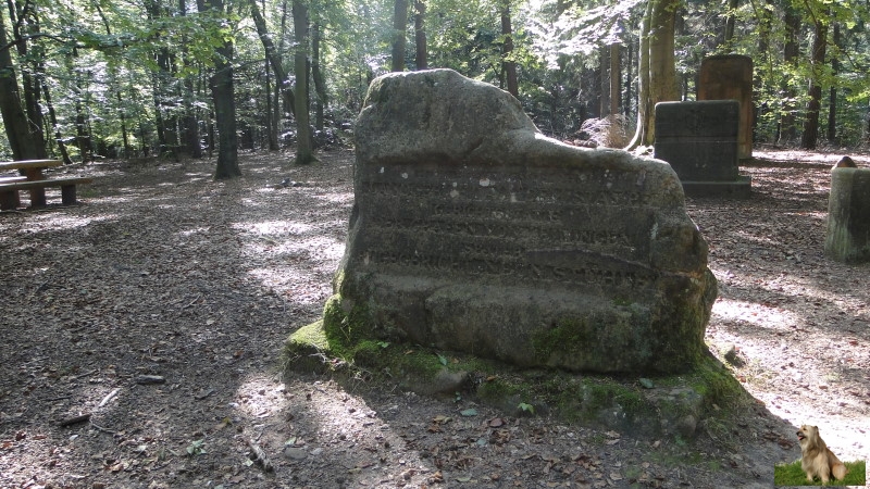 Ritterstein Nr. 289-3 Hier befand sich das Landgericht auf dem Stampe - Gerichtsstätte der Grafen von Leiningen.JPG - Ritterstein Nr.289 Hier befand sich das Landgericht auf dem Stampe - Gerichtsstätte der Grafen von Leiningen